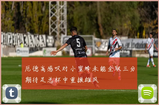 厄德高感叹对小蜜蜂未能全取三分期待足总杯中重振雄风