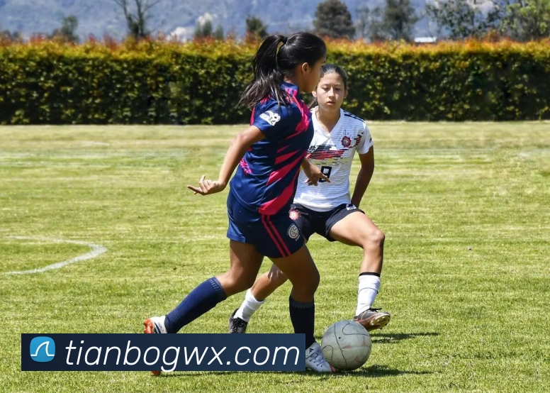 天博官网APP 高清赛事图